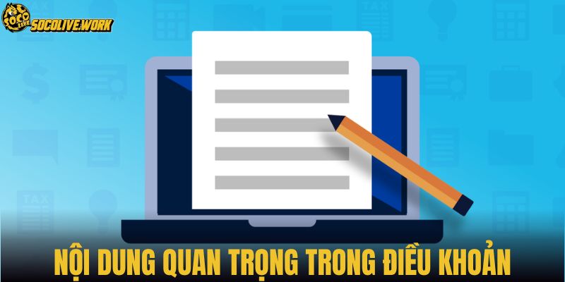 Nội dung quan trọng trong điều khoản